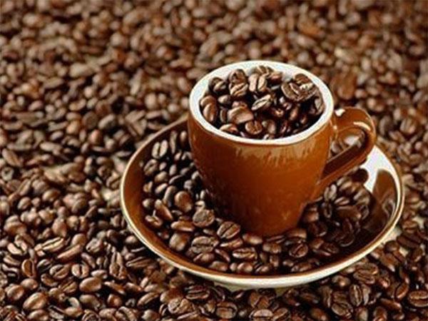 تولید کنندگان برتر دانه قهوه اسپرسو در کشور