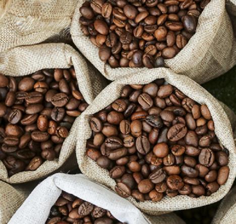 وارد کنندگان دانه قهوه فرانسه