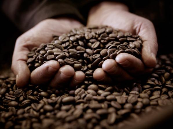 فروشندگان برتر قهوه رست شده در کشور