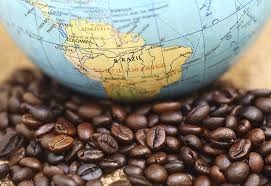 قهوه برزیلی اصل