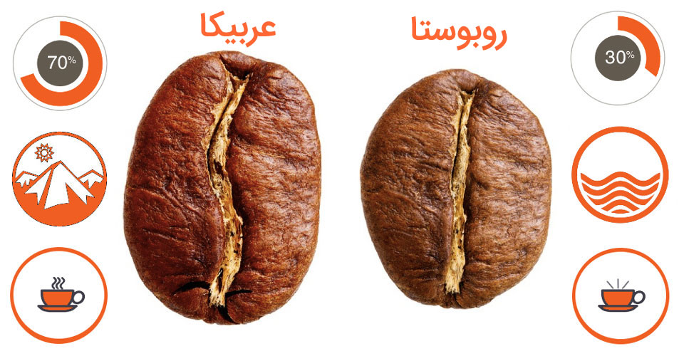دانه قهوه عربیکا خارجی