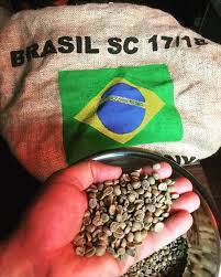 قهوه سبز برزیلی