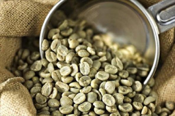 شرکت های تولید کننده قهوه خام کدام اند؟