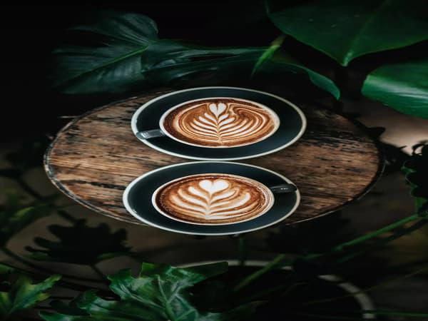 لیست قیمت پودر قهوه کاپوچینو در کشور