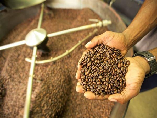 کارخانجات تولید کننده پودر قهوه کاپوچینو
