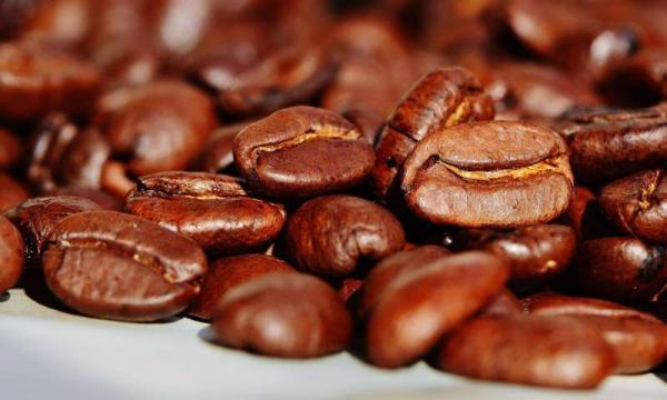 قیمت ارزان قهوه در هند