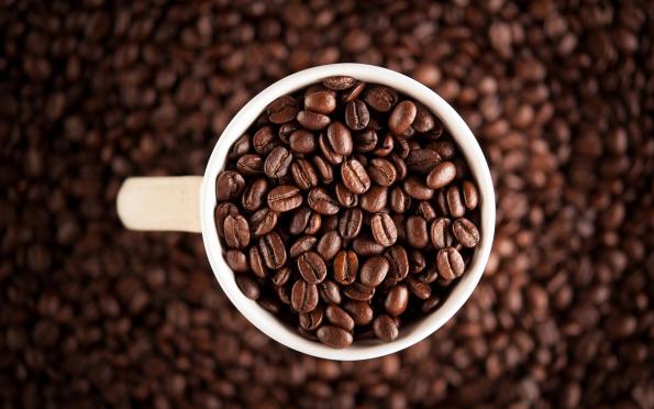 عرضه قهوه بدون واسطه با کیفیت در کشور