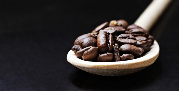کارخانه معتبر قهوه مولیناری در یزد