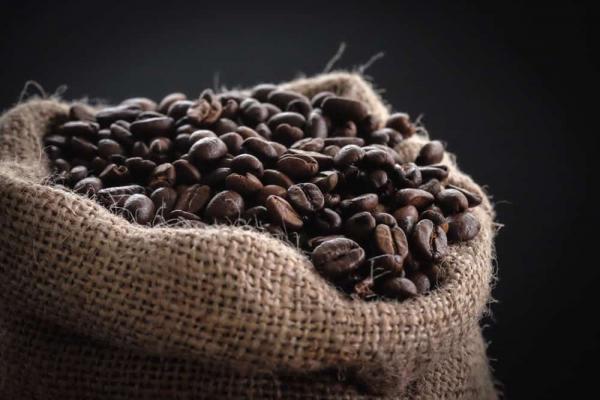 بهترین وارد کننده قهوه با کیفیت مناسب