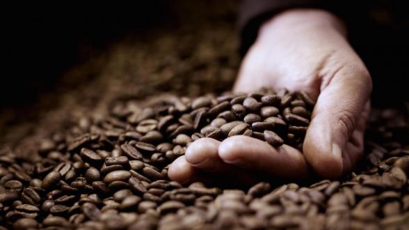 سفارش دانه قهوه به صورت عمده در بازار