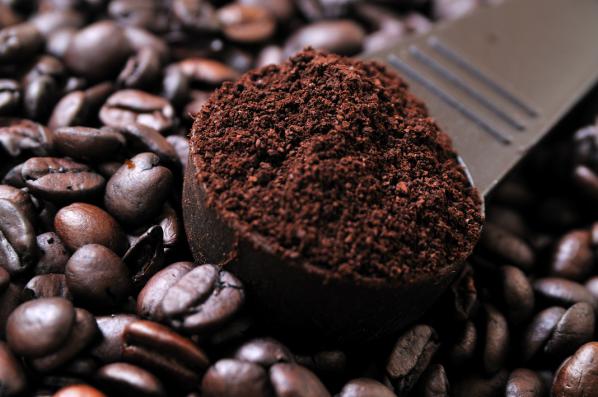 فروش ویژه دانه قهوه با کیفیت مناسب