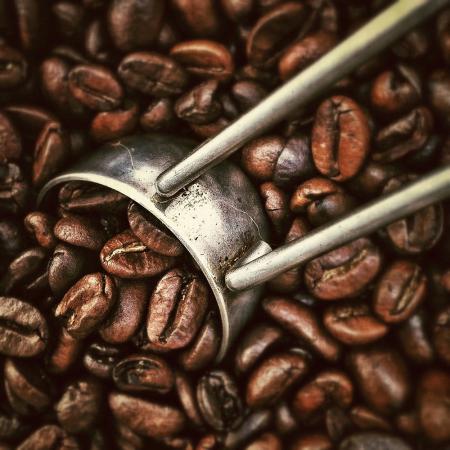 فروشنده برترین مارک دانه قهوه در تبریز