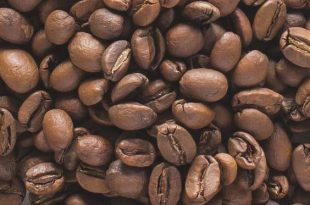 خرید دون قهوه عربیکا مکزیک