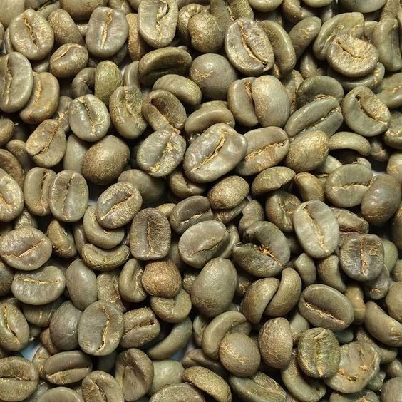 قیمت عمده قهوه سبز عربیکا کلمبیا